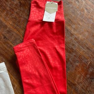 Brand NEW Buff Bunny leggings